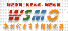 WSMO網(wǎng)站服務(wù)