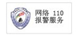 網(wǎng)站110